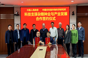 老区农民笑了……