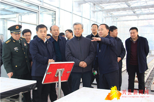 李正印在兴县调研
